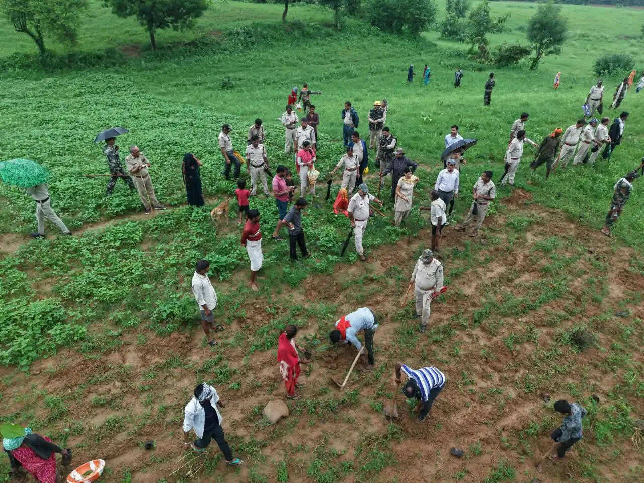 उत्तर पन्ना में 50 हेक्टेयर वन भूमि अतिक्रमण मुक्त, पूरे क्षेत्र में हुआ मिश्रित पौधारोपण