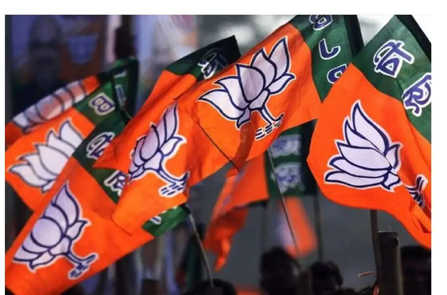 मोदी के 25 साल के सेवाकाल की गाथा जन-जन तक पहुंचाएगी भाजपा