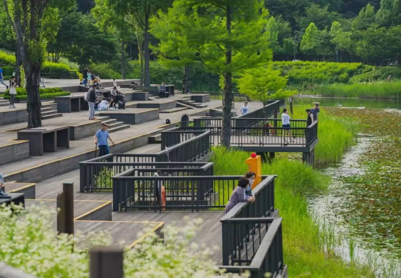 अब सिटी फारेस्ट होगा नए लुक में, विदेशों जैसा रहेगा नजारा