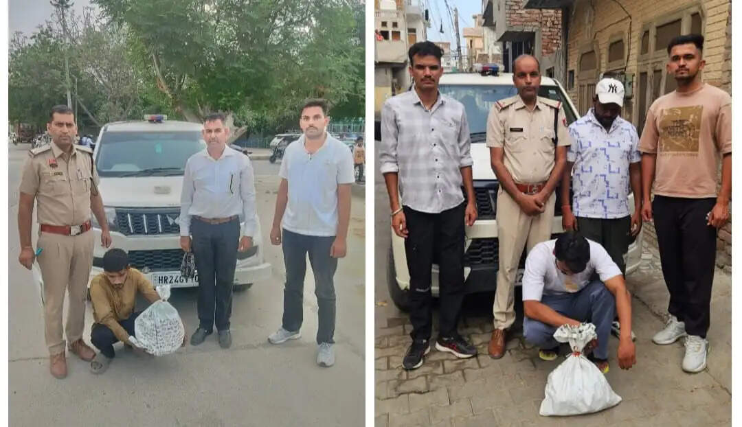 सिरसा: गांजा पत्ती सहित दो तस्कर गिरफ्तार