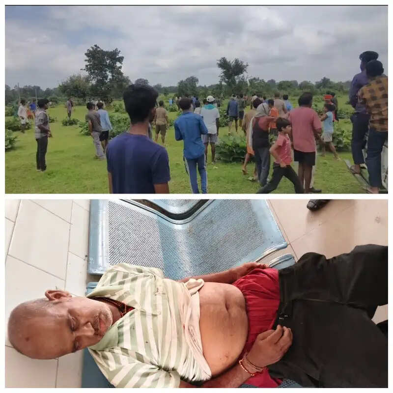 मानपुर में बाघ का खौफ: देखने पहुंचे ग्रामीण पर झपटा टाइगर, दो बाघों की मौजूदगी से दहशत