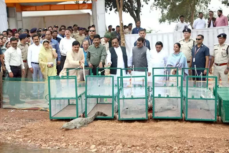 मप्र में हुआ चीता पुनर्स्थापन का ऐतिहासिक कार्य, जल्द नौरादेही अभयारण्य में भी छोड़े जाएंगे चीते