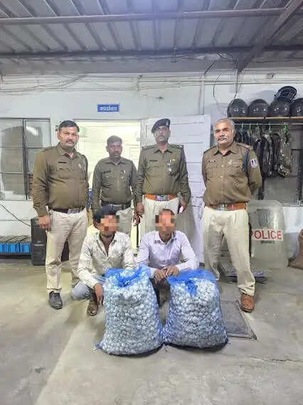 मंदसौरः कृषि मंडी से चोरी गई लहसुन बरामद, दो आरोपी गिरफ्तार