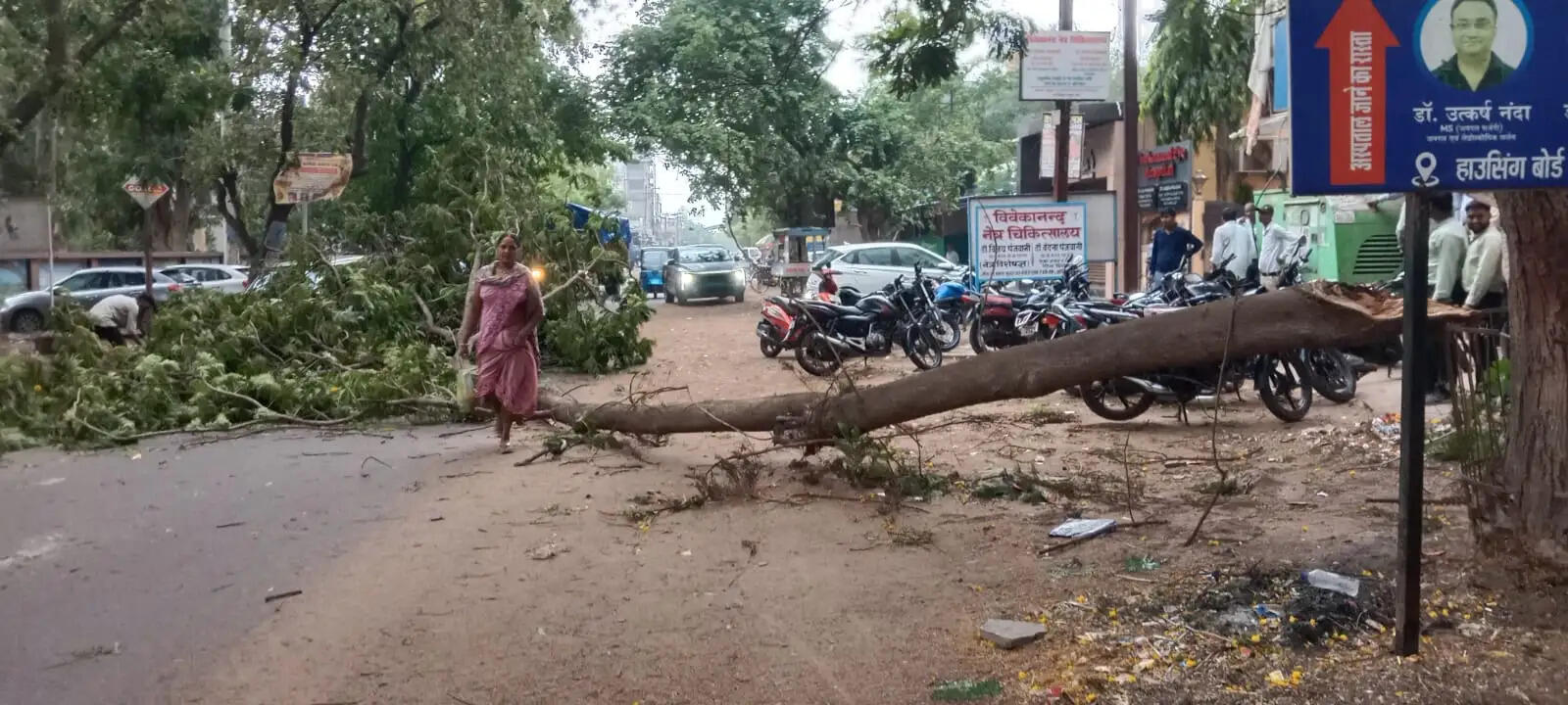 धमतरी में तेज आंधी से जनजीवन अस्त-व्यस्त, पेड़ गिरे और बिजली व्यवस्था प्रभावित