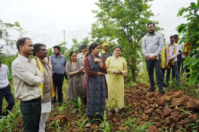 मप्र के सिवनी जिले के सीताफल को मिला जीआई टैग, अब राष्ट्रीय ब्रांड बनाने की तैयारी