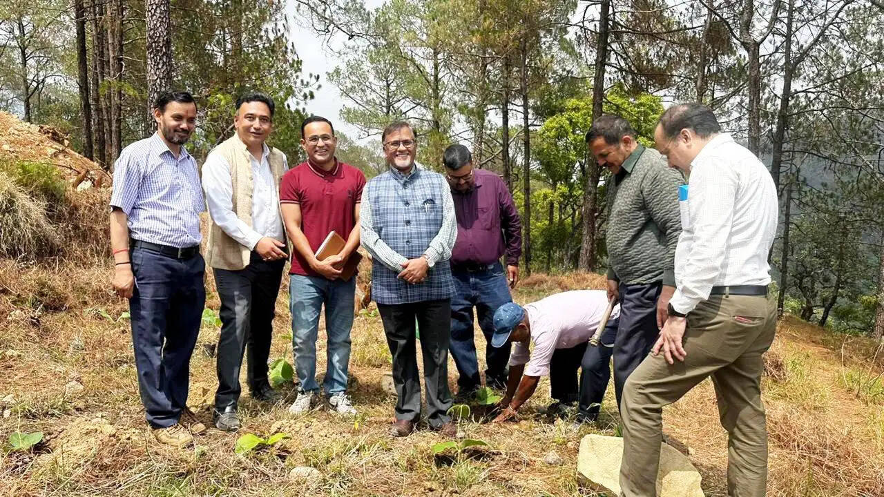 पटवाडांगर में स्थापित हुआ ‘पटवा गार्डन’, अति संकटग्रस्त हिमालयी वनस्पति संरक्षण की पहल