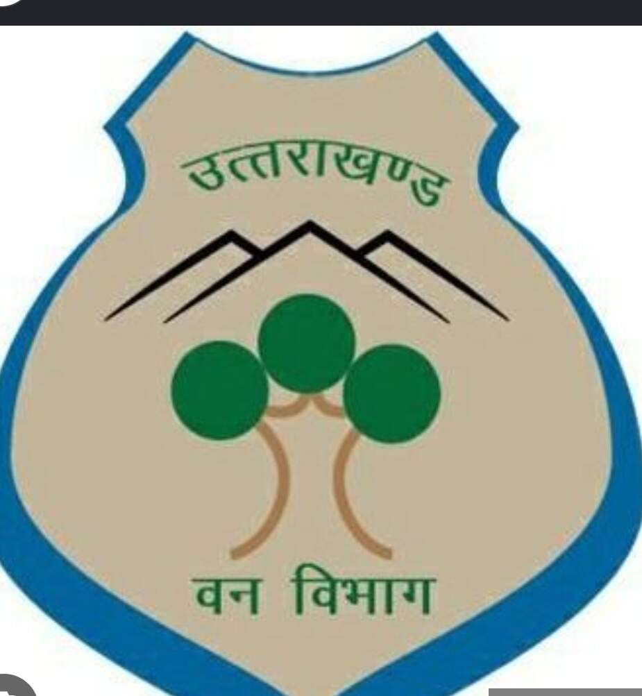 उत्तराखंड वनाग्नि : ढाई महीने में 236 घटनाएं, 171 हेक्टेयर से अधिक वन क्षेत्र प्रभावित