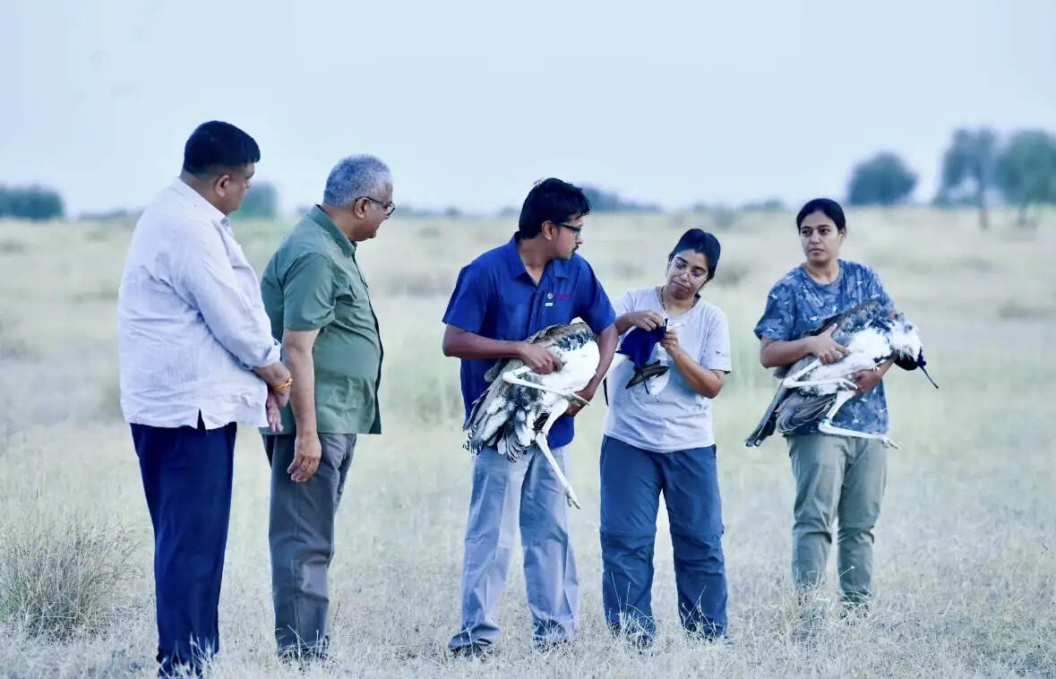 भूपेन्द्र यादव ने राजस्थान में जैसलमेर के डेजर्ट नेशनल पार्क में छोड़े दो नर गोडावण