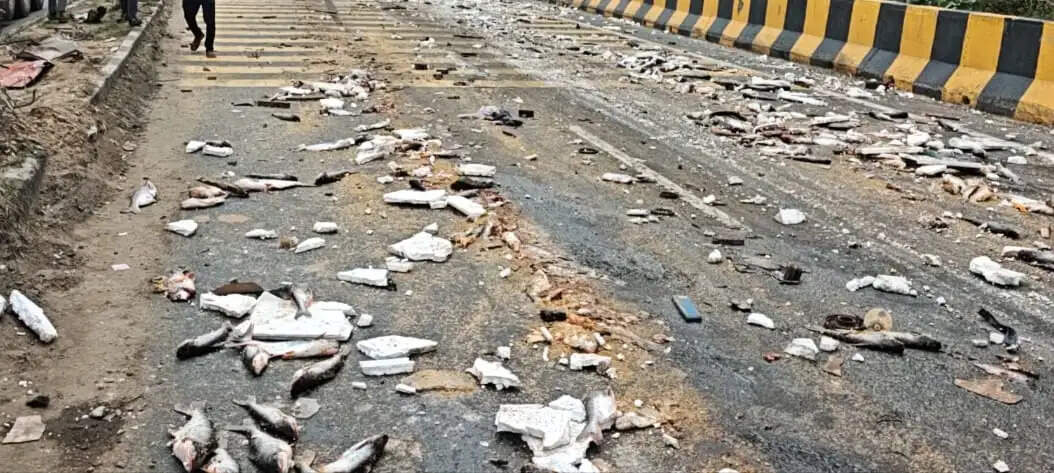 घाटी में ट्रक ने ट्रेलर को मारी टक्कर, ड्राइवर की मौत