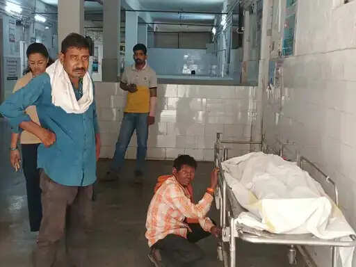 अनूपपुर: जंगली हाथी ने युवती को सूंड से पटक कर उतारा मौत के घाट