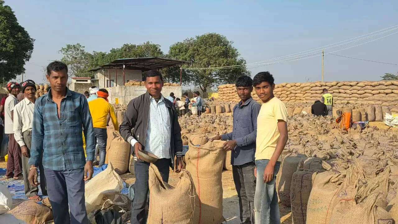 सरगुजा: जिले में अब तक 21 लाख 15 हजार क्विंटल से अधिक धान की खरीद