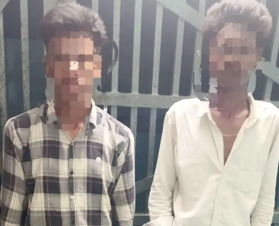 सड़क पर पिस्टल छीनाझपटी कर रहे दो युवक चढ़े पुलिस के हत्थे