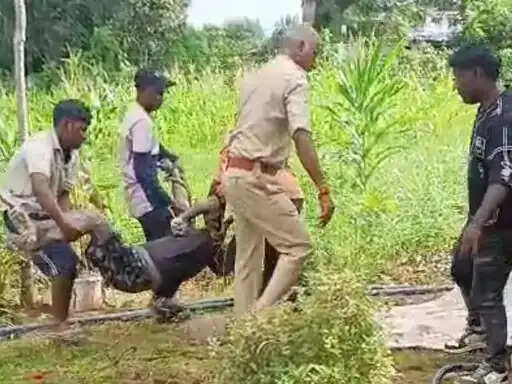 अनूपपुर: दो दिन से लापता व्यक्ति का शव कुएं में मिला, परिजन मानसिक विक्षिप्त बता रहे