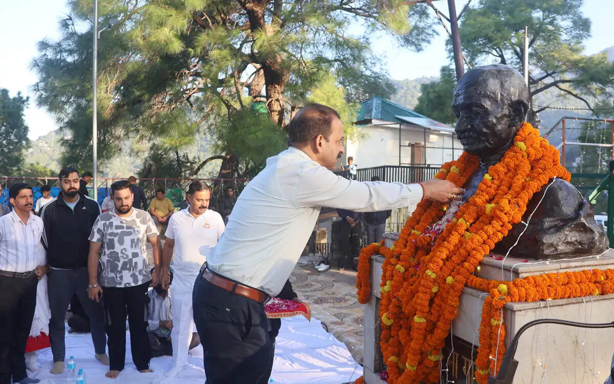 गांधी का जीवन और विचार आज भी पूरी मानवता के लिए प्रेरणास्रोत : विनय कुमार