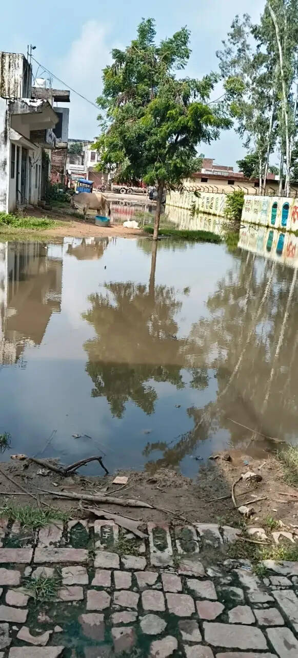 बारिश के पानी से गुंजन विहार कॉलोनी में जलभराव