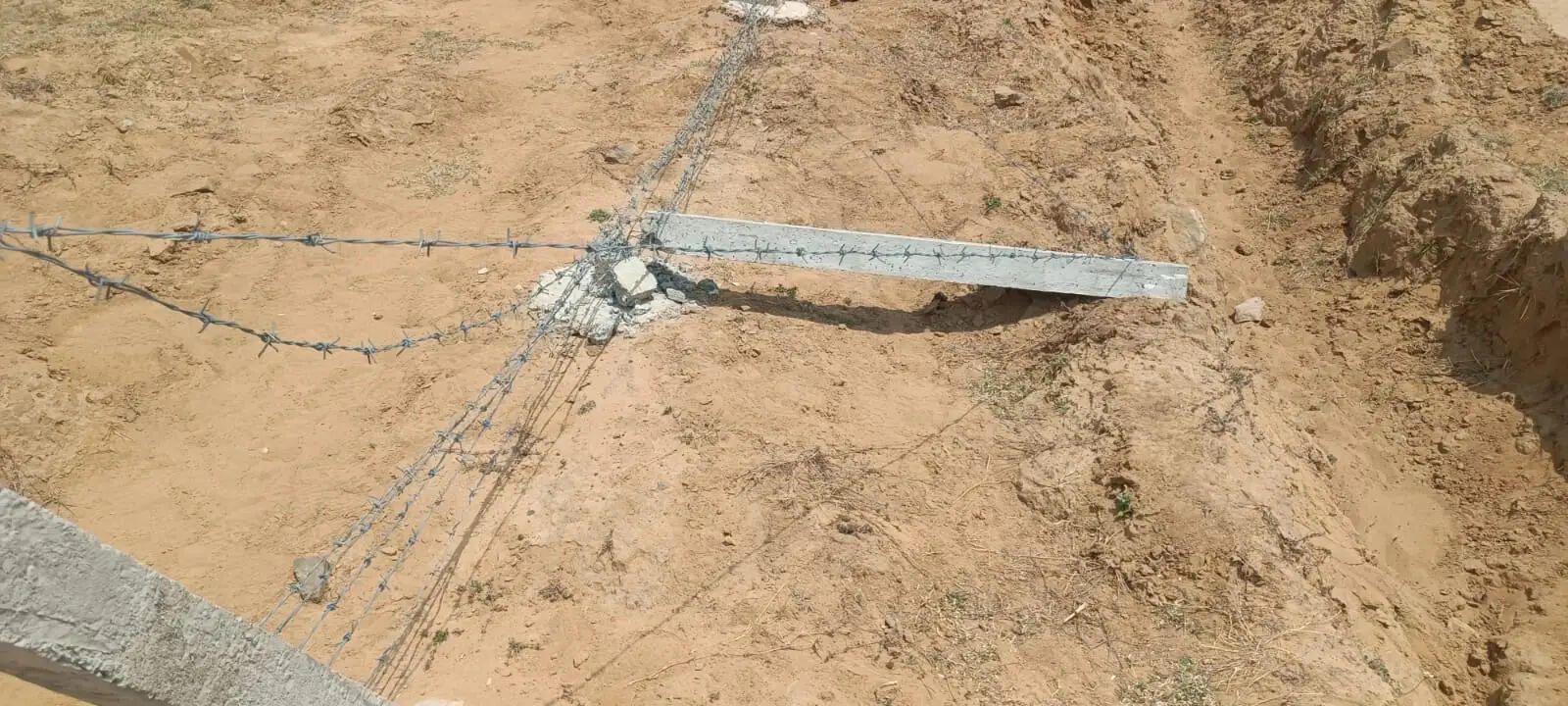 अनूपपुर: तीन हाथियों को जिले में 100 दिन हुए पूरे, राजेंद्रग्राम के तुलरा के जंगल में जमाया डेरा