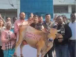 गोमांस विवाद पर कांग्रेस का निगम घेराव, ठेकेदार के घर पर बुलडोजर चलाने&nbsp;और जिम्मेदारों&nbsp;पर कार्रवाई की मांग