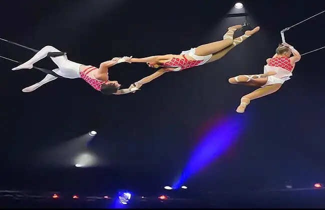 विलुप्ति की कगार पर सर्कस के परंपरा, कलाकार चिंतित