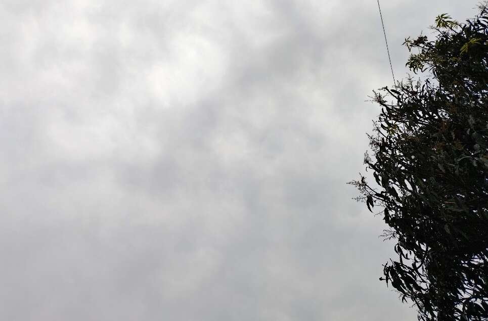 उत्तराखंड में&nbsp; कई जिलों में बारिश व तेज हवाओं की संभावना, आकाशीय बिजली को लेकर चेतावनी जारी