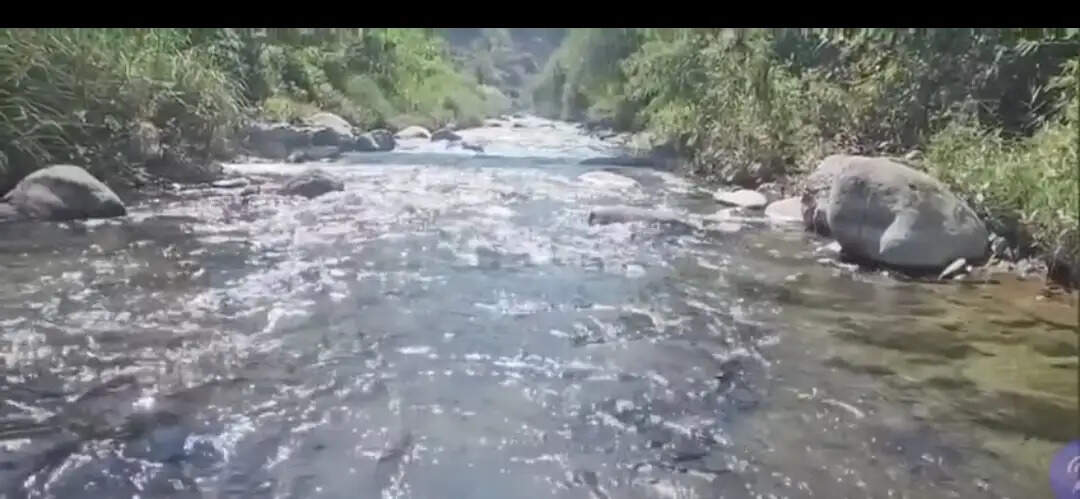 हेंवल नदी के पुनर्जीवन कार्यों को ‘मन की बात’ में स्थान मिलना पूरे वन विभाग के लिए गर्व का क्षण