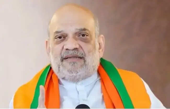 अमित शाह ने वडोदरा सड़क हादसे पर जताया दुख