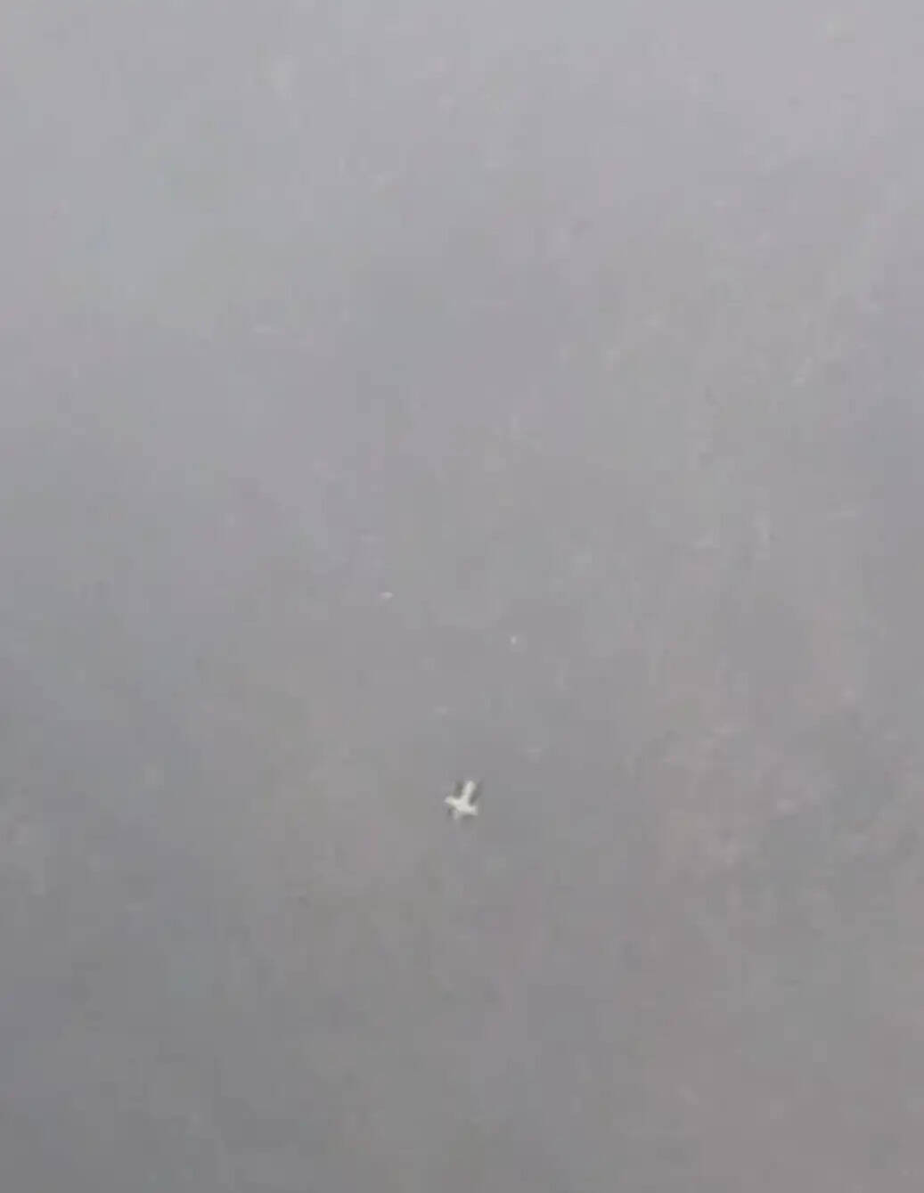 (अपडेट) उत्तराखंड के जोशीमठ में हेलीकॉप्टर क्रैश, पायलट समेत 6 लोग थे सवार
