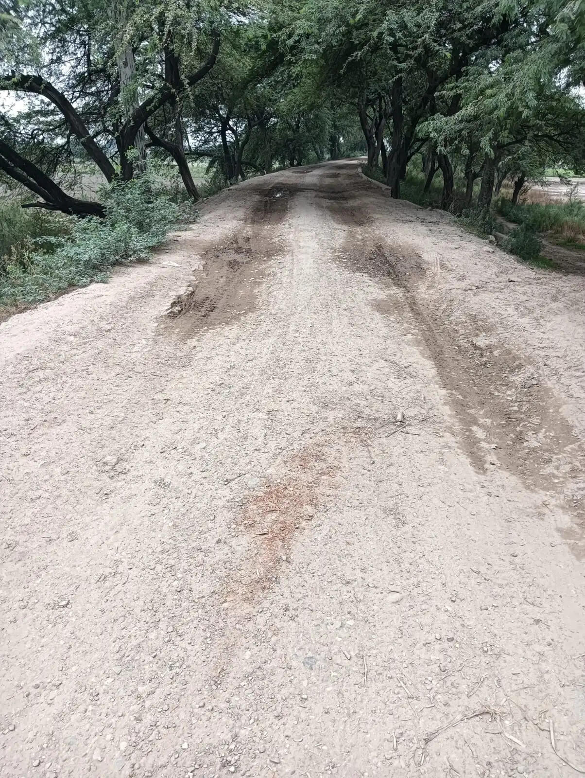 बजट के अभाव में नहीं हाे रहा बागपत के अलीपुर बांध की देखरेख, मानसून आने से लाेग सहमे