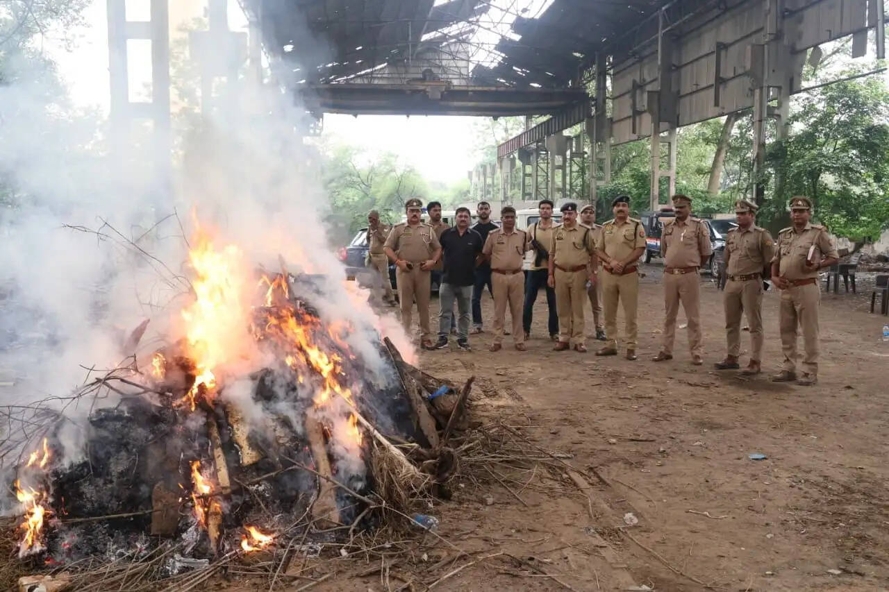 प्रयागराज के बहरिया पुलिस टीम ने नष्ट किया 12 लाख का गांजा