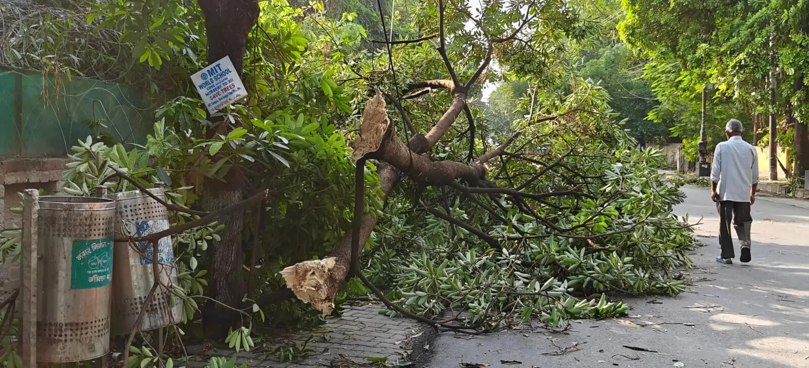 मुरादाबाद में आंधी ने मचाई भारी तबाही, 100 से अधिक पेड़ गिरने से बिजली व्यवस्था ठप