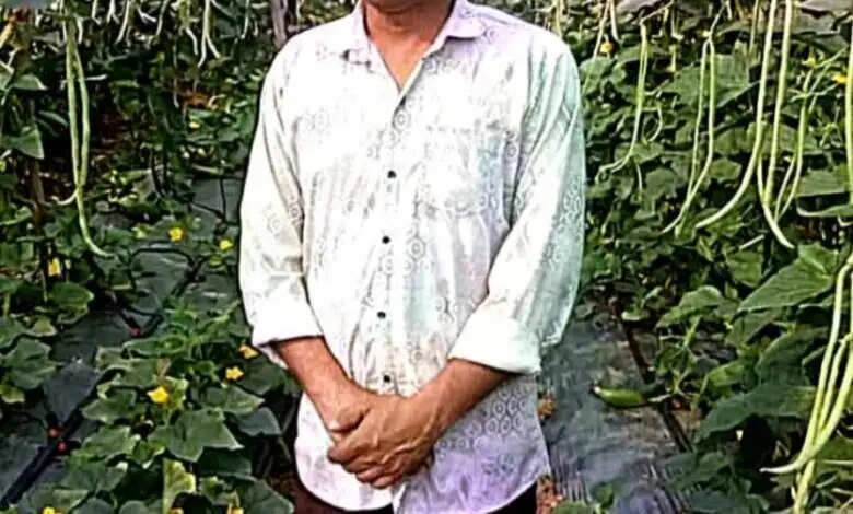 खेती का तरीका बदला तो बढ़ा उत्पादन और मुनाफा, राज कुमार साहू ने बरबटी और खीरा की खेती से कमाया लाखाें&nbsp;का लाभ