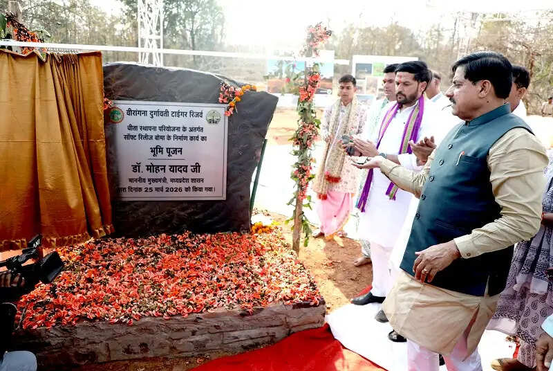 अब बुंदेलखंड की धरती पर भी फर्राटे भरेंगे चीते, बुंदेलखंड बनेगा चीतों का नया बसेरा :&nbsp;मुख्यमंत्री डॉ. यादव