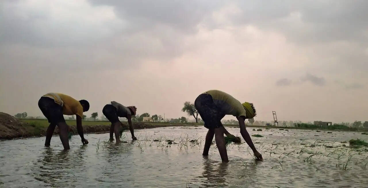 जींद : बूंदाबांदी से तापमान में चार डिग्री की गिरावट