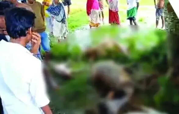 धुबड़ी के गौरीपुर में वज्रपात से सात गो-धन की मौत