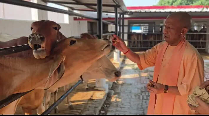 हर जरूरतमंद को दिलाएं कल्याणकारी योजनाओं का लाभ : मुख्यमंत्री योगी