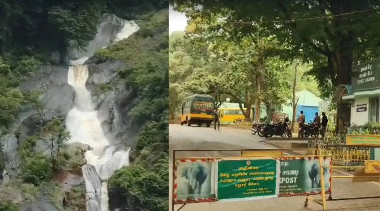 भारी बारिश से कोयंबटूर के पश्चिमी घाट में कोवई कुट्रालम इको-टूरिज्म केंद्र अस्थायी रूप से बंद