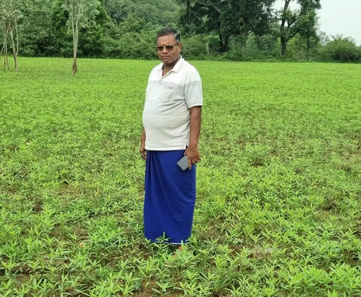 कृषक उन्नति योजना से मिलेगा प्रोत्साहन, 50 एकड़ में खेती के साथ डेयरी और सागौन रोपण भी