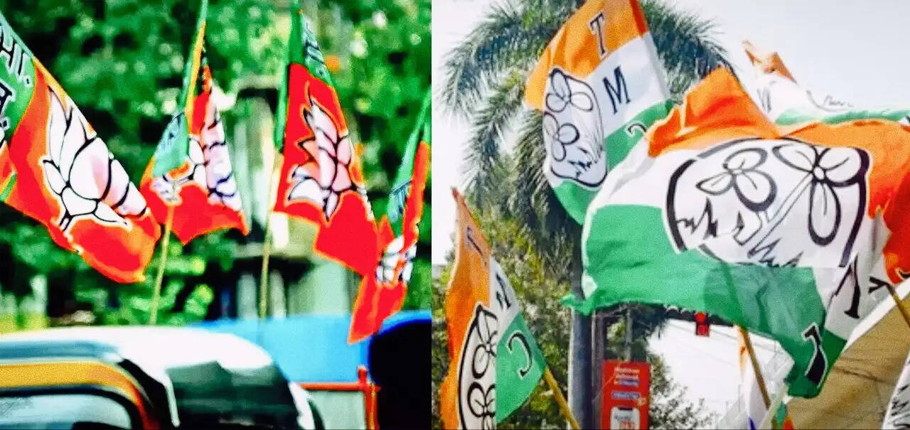 चुनाव 26 : विकास को लेकर तृणमूल और भाजपा में जुबानी जंग