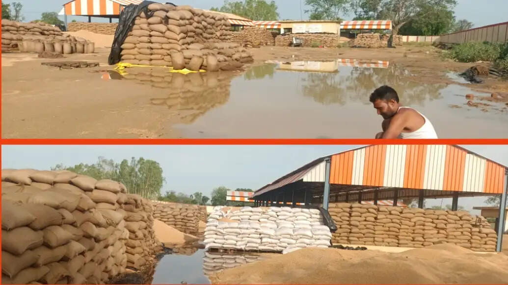 असोथर क्रय केंद्र में हजारों क्विटंल गेहूं भीगा, किसानों ने लापरवाही का लगाया आरोप