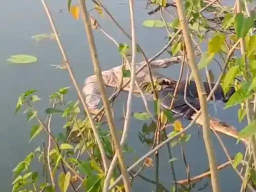 अनूपपुर: नदी में नहाते समय युवक की डूबा, लापता सेवानिवृत डिप्टी रेंजर का शव बांध में मिला
