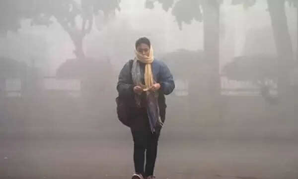 जनवरी के अंत में फिर बढ़ेगी ठंड, मप्र के ऊपर सक्रिय हैं दो मौसम सिस्टम, फिलहाल कड़ाके की सर्दी से राहत