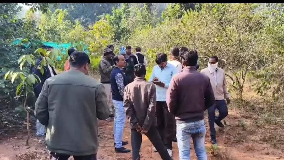 सूरजपुर : घुई रेंज में बाघ की मौत,  दांत और नाखून गायब