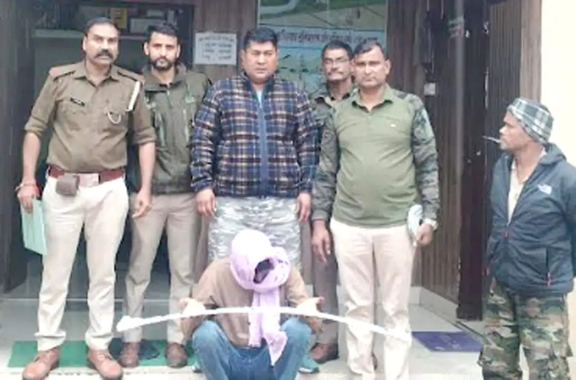 पथरी जंगल में खैर के तीन कीमती पेड़ काटे, एक आरोपित गिरफ्तार