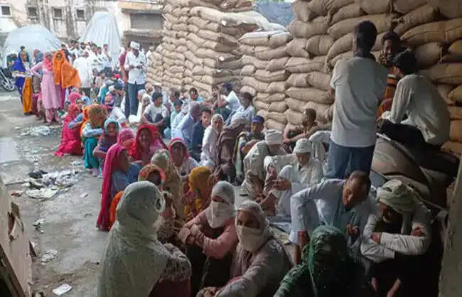 नारनौल में डीएपी खाद के 1000 बैग पहुंचे, किसानों की उमड़ी भीड़