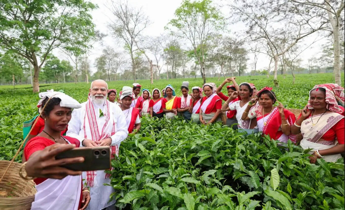 डिब्रूगढ़ के मनोहारी चाय बागान में प्रधानमंत्री मोदी ने तोड़ी चाय की पत्तियां