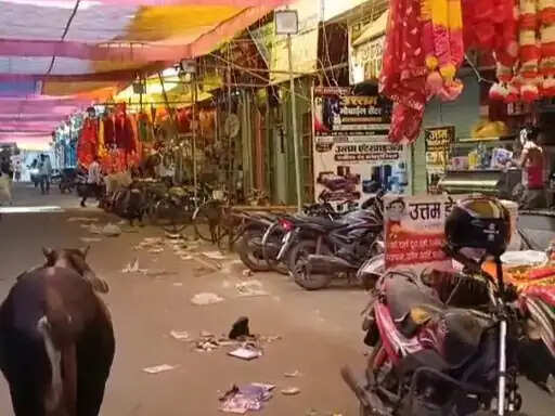 अनूपपुर: पीएफ जमा करने की मांग पर सफाई कर्मचारी अनिश्चितकालीन हड़ताल पर, जैतहरी में नगर की सफाई व्यवस्था चौपट