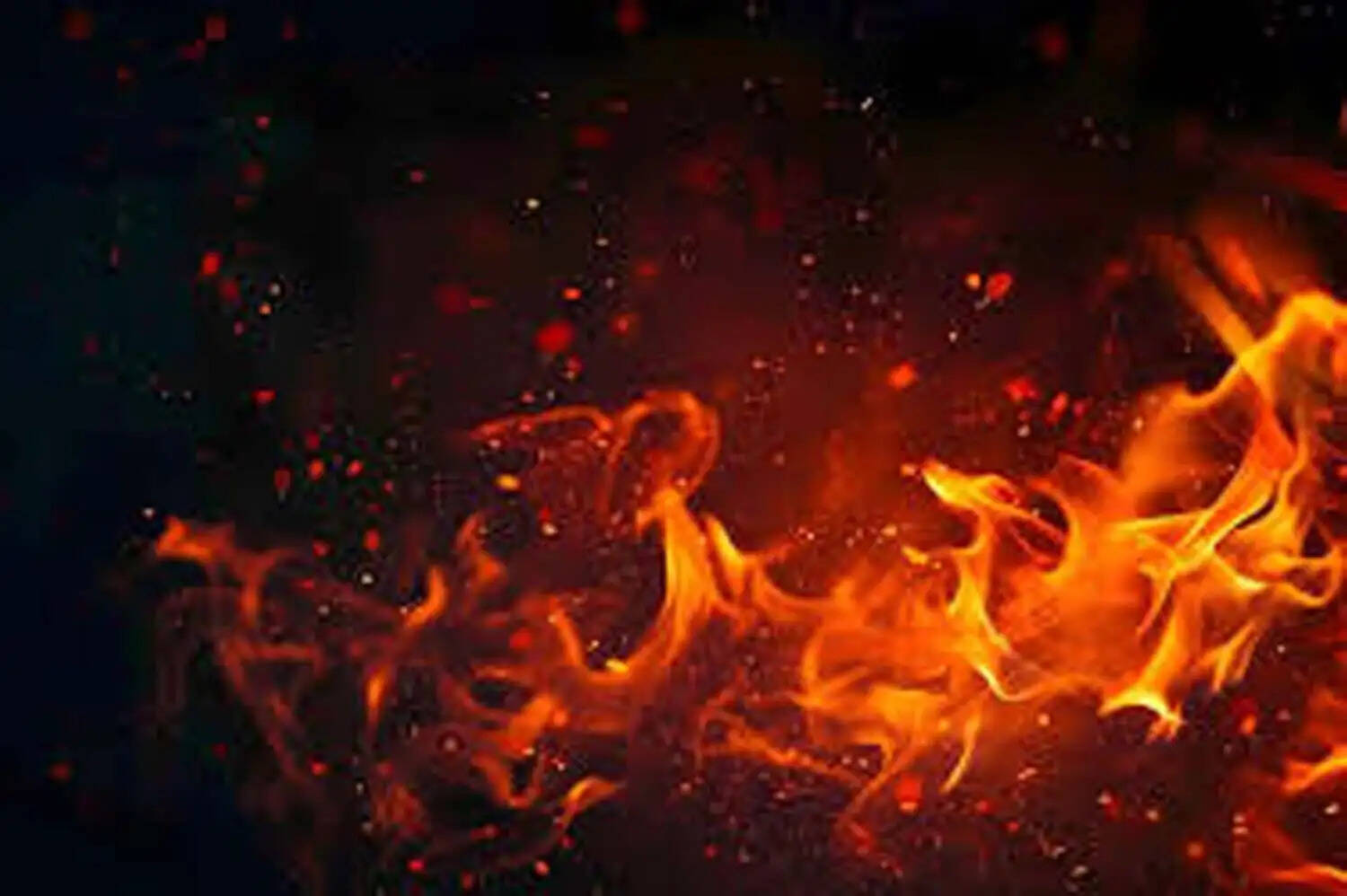 गुरुग्राम के बसई में केमिकल की दुकान में लगी आग में जिंदा जला व्यक्ति