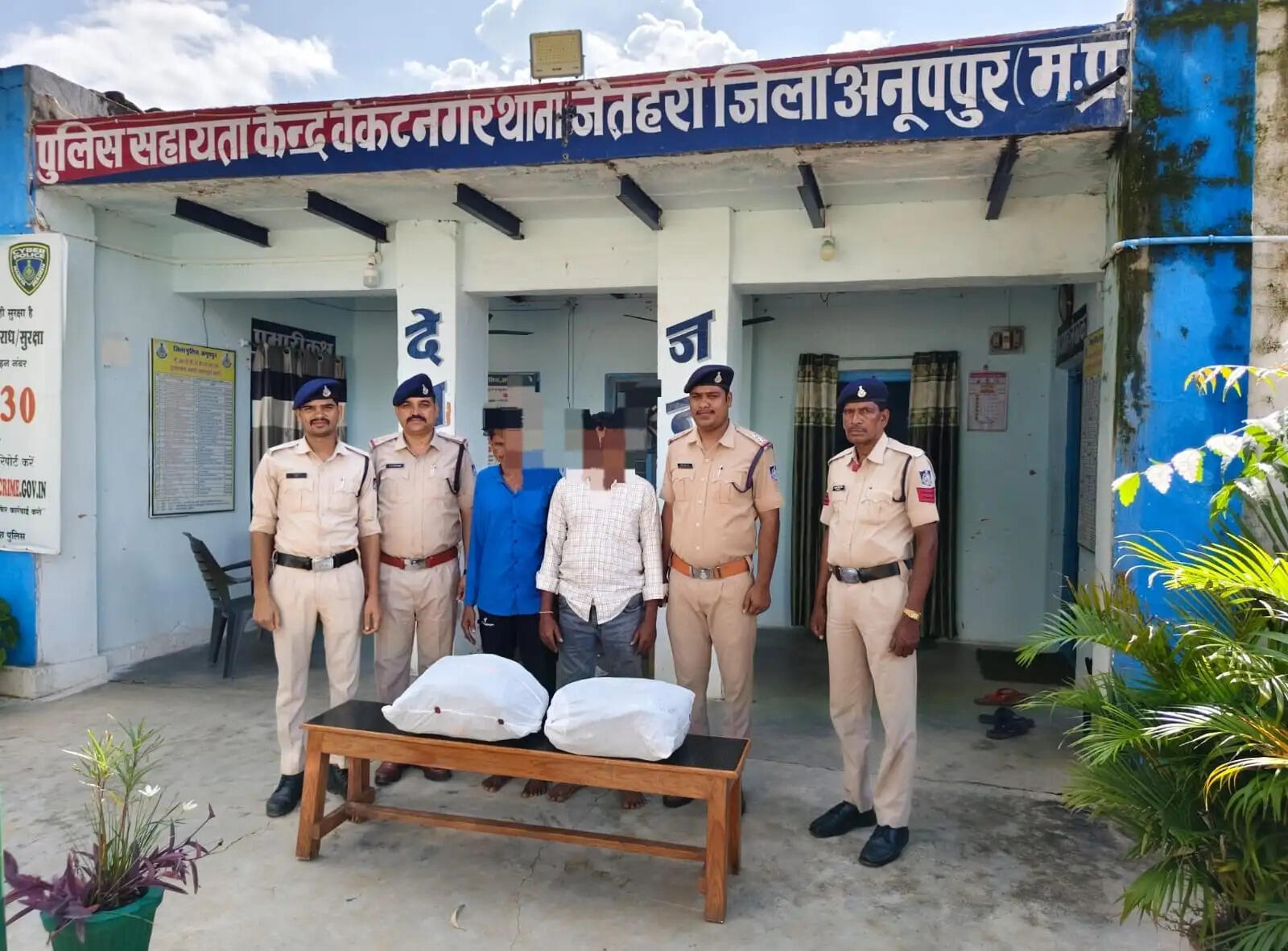अनूपपुर: स्थानीय बाजार में बेचने उड़ीसा से आया 14 किलो गांजा जब्त, 3 तस्करों पकडायें, भेजा जेल