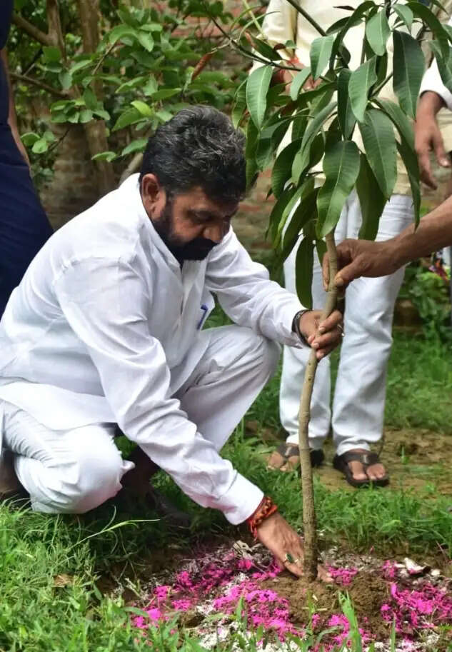 उत्तर प्रदेश में विकसित की जाएंगी 'आयुष वाटिका' : आयुष मंत्री