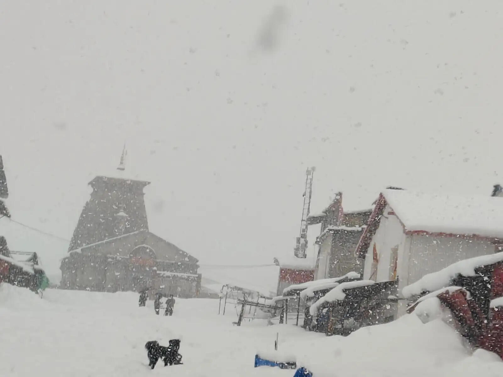 बर्फबारी के बीच केदारनाथ यात्रा की तैयारियां तेज