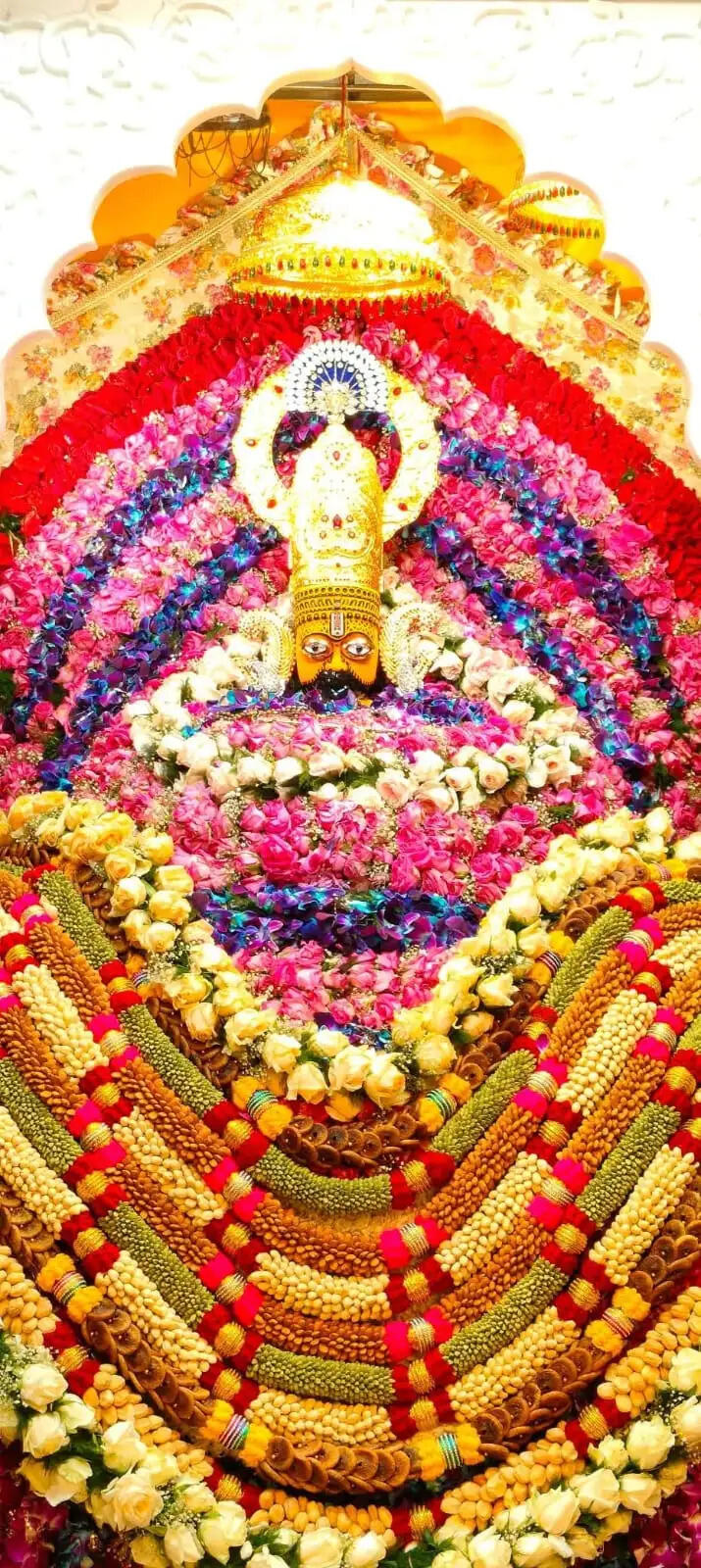 रंग रंगीला फाल्गुन महोत्सव बाबा श्याम के 84पाठ के साथ संपन्न